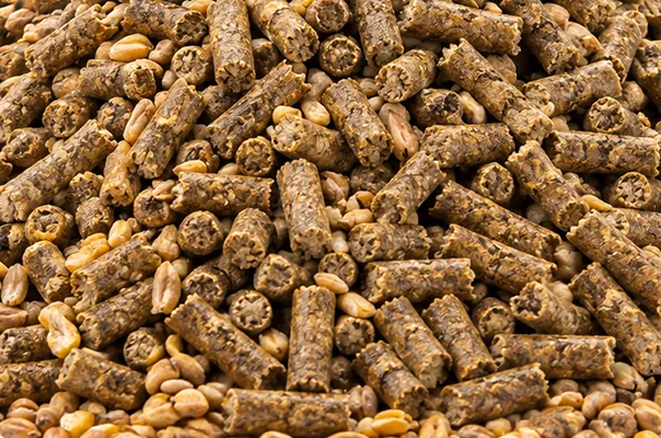 Futtermittelzutat